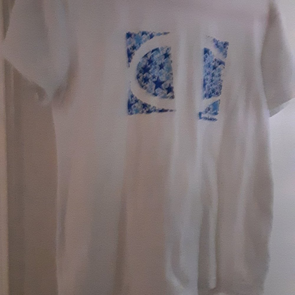 Champion shirt Size Small color white and blue